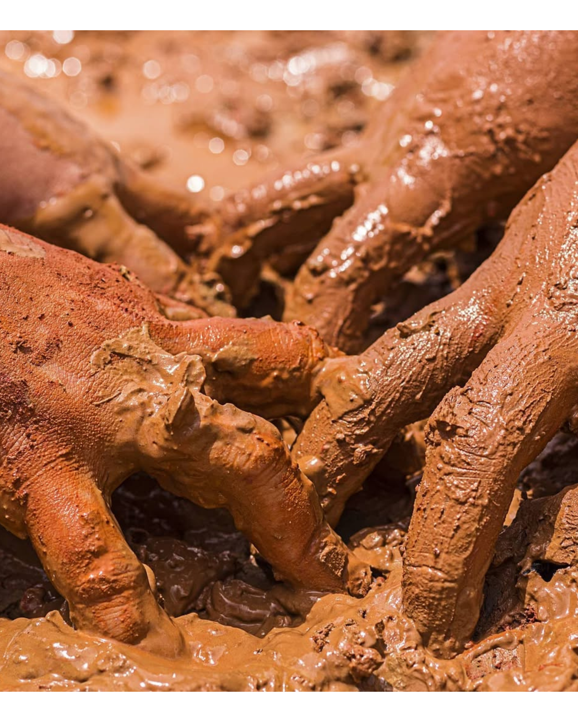 Eu, barro vermelho que faz mulher- II